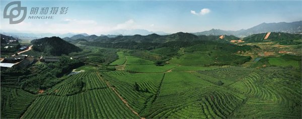 供应杭州园林基地航拍，杭州花圃基地摄影，杭州绿植盆栽基地航拍航摄