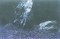 供应棕刚玉5