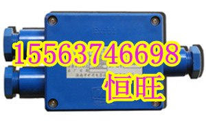供应JHH3本安电路用分线盒