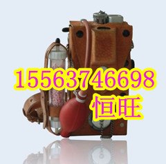 供应CJG10CJG100光干涉式甲烷测定仪