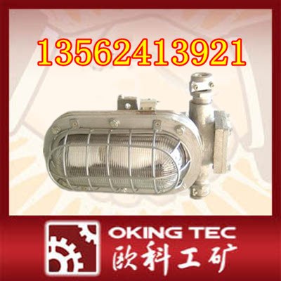 供应DGC35矿用隔爆支架灯 