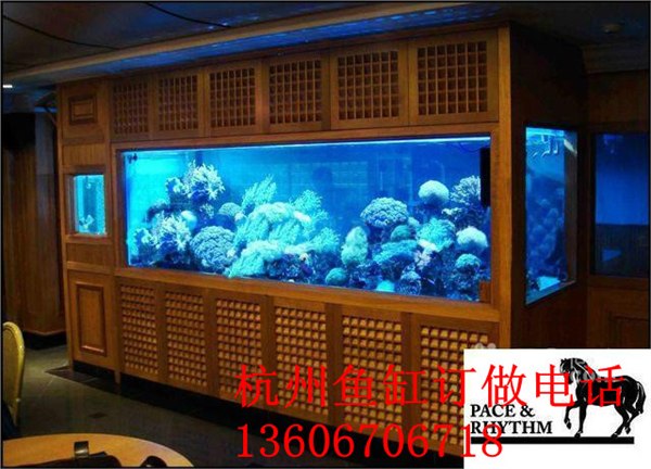 供应杭州制作鱼缸  专业的设计团队量身定做鱼缸 海鲜池