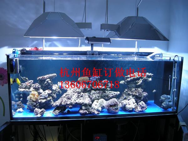供应杭州亚克力鱼缸  专业订制鱼缸精工细作