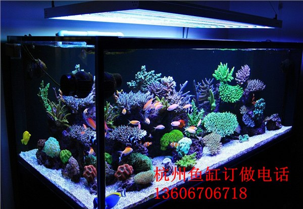 供应杭州定做鱼缸  鱼缸价格 异形鱼缸订制