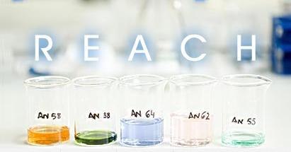 供应权威欧盟REACH化学测试要怎么做