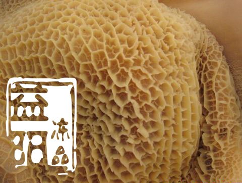供应冷冻牛肚价格