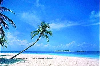 兰州旅行社|兰州最好的旅行社|兰州地接社|甘肃熊猫国际旅行社