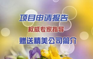 供应镇平县项目申请报告代写