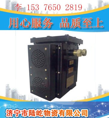 供应矿用防爆音箱