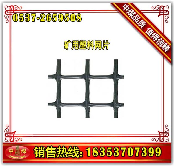 供应山东中煤抗静电阻燃矿用塑料网片