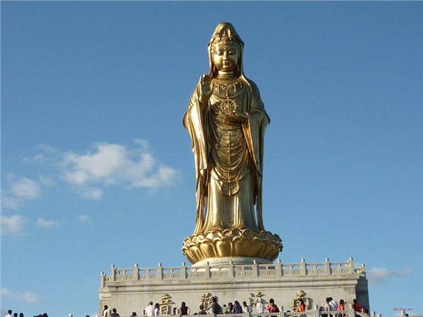 普陀山双动三日游-厦门中之青国旅