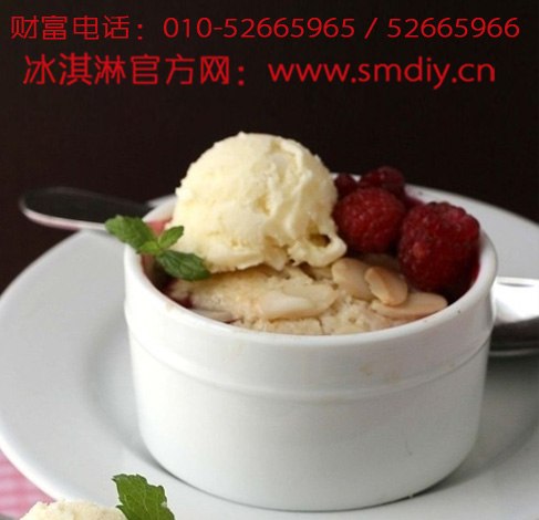 供应北京多功能冰淇淋机01052665966