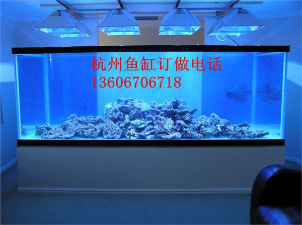 嘉兴鱼缸设计  鱼缸订做哪里好