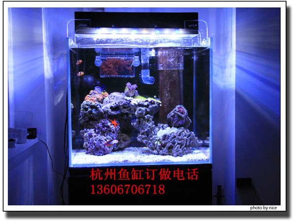 嘉兴亚克力鱼缸  鱼缸专卖 订做鱼缸价格