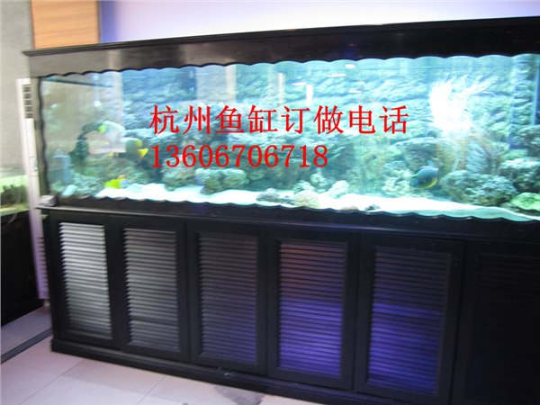 嘉兴超市鱼缸 鱼缸供应商