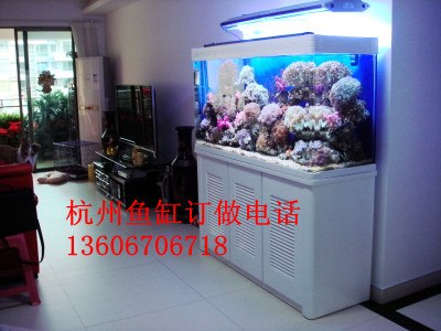 嘉兴鱼缸制作 定做鱼缸选日晟造型独特 实用