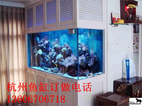 嘉兴鱼缸  嘉兴鱼缸专卖店