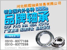 河北进口轴承|河北进口轴承价格|河北进口轴承厂家