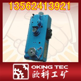 供应CJG10/CJG100 光干涉式甲烷检测仪