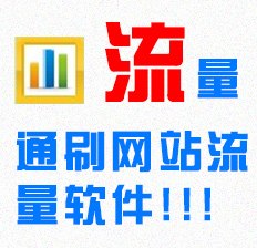 站长必备软件--流量通