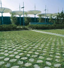 供应扬州植草艺术地坪 扬州植草地坪 扬州植草地坪