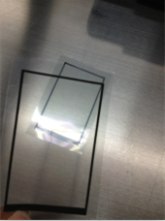 TP泡棉胶