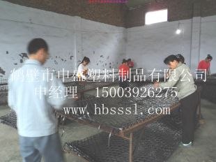 煤矿用护顶网 双抗网 护顶网