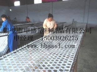 供应煤矿用编织 阻燃网矿用假顶网