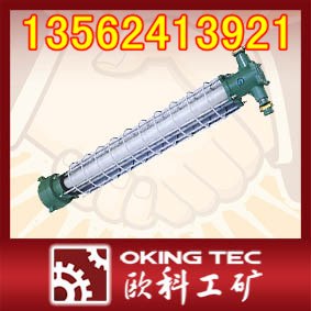 供应KBY-20W矿用防爆荧光灯防爆荧光灯