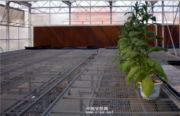 供应镀锌苗床网，苗床网