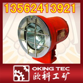 供应DGY21/24B矿用隔爆照明灯