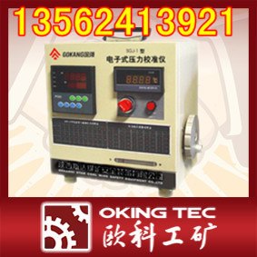 供应SGJ100型数字式光瓦校验装置