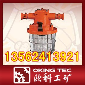 供应DGS矿用隔爆型白炽灯