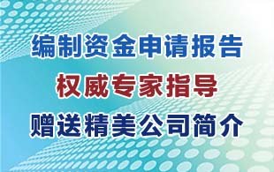 供应专业淮滨县资金申请报告代写