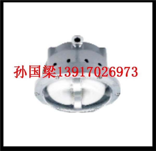 供应NFC9176长寿顶灯NFE9176