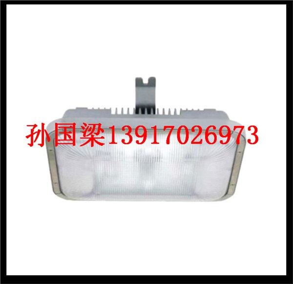 供应NFE9175应急无极灯NFC9175