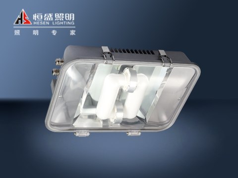 厂家直销供应WF270长寿顶灯
