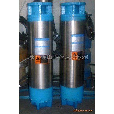 供应天津潜水电机