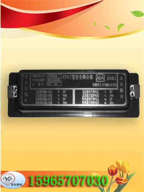 供应KTA17型安全耦合器 