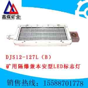 供应DJS12矿用隔爆兼本安型LED标志灯