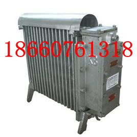 供应127V取暖器