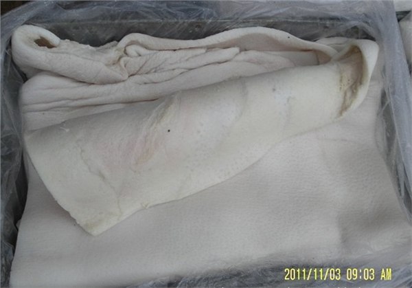 供应供应畅销德国202冷冻猪头猪肋排猪皮猪肘