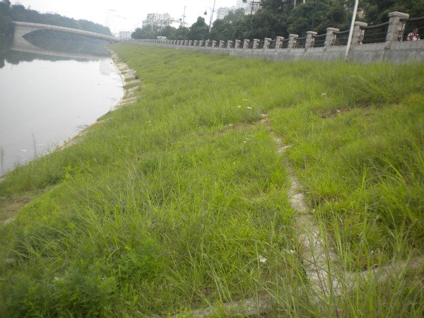 供应生态混凝土