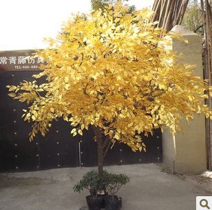 供应仿真许愿树新年许愿树春节许愿树许愿树常青藤仿真许愿树
