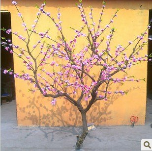 供应仿真桃花树新年桃花树仿真樱花树影楼道具舞台装饰客厅