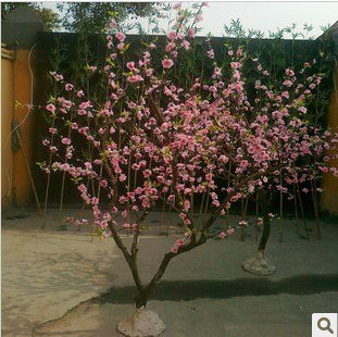 供应仿真桃花树南京桃花树春节仿真桃花树新年桃花许愿树