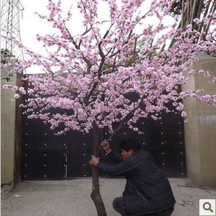 供应新年桃花树仿真桃花树春节摆放桃花树梅花树-常青藤