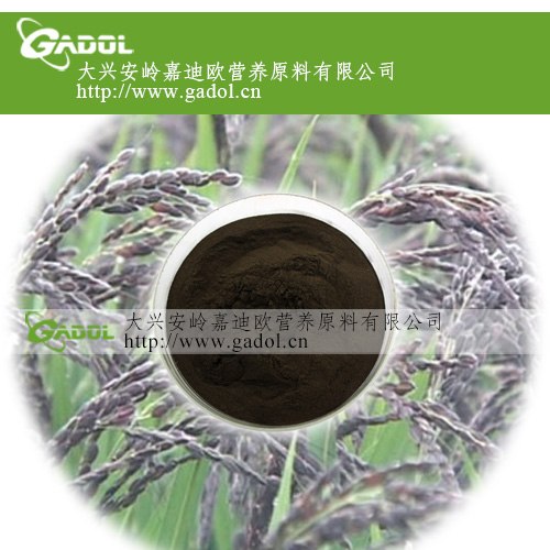 供应黑米提取物