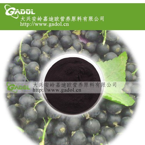 供应黑加仑果粉