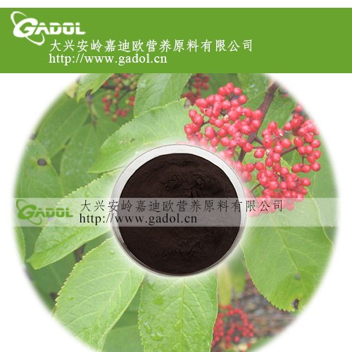 供应接骨木果提取物